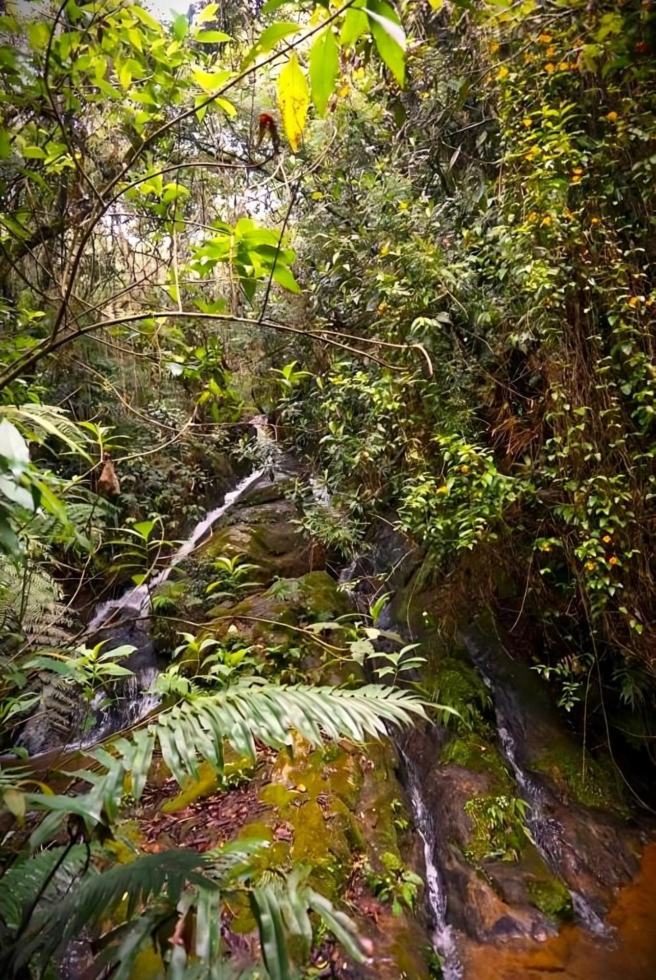 Encanto Minicasitas En Medio De La Naturaleza Santa Elena  Exterior photo